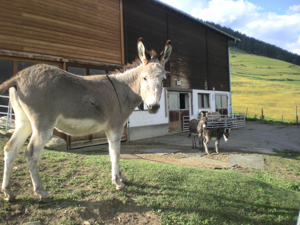 Chasa Werro Appartement Sent Buitenkant foto